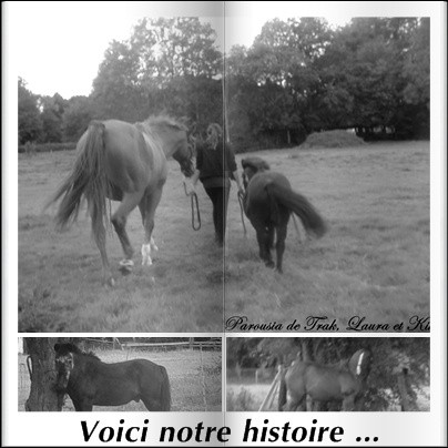 Photo de profil de lalotte8