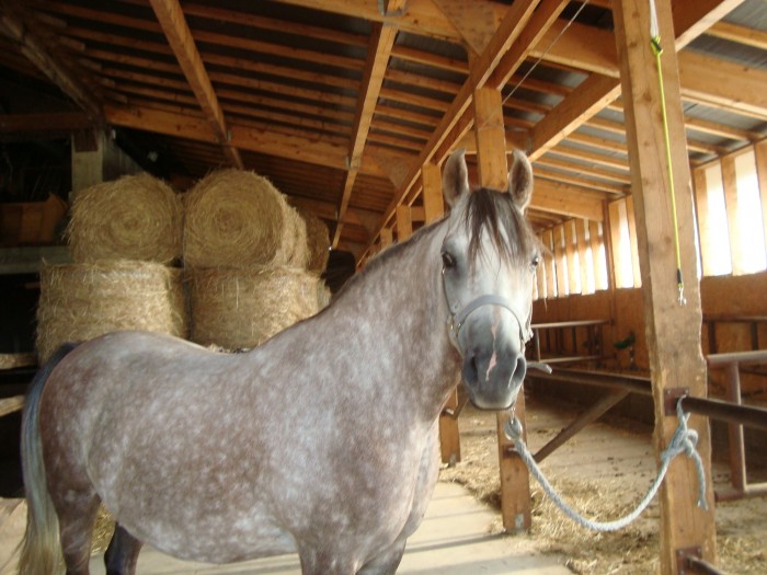 Photo de profil de manon_ottelo