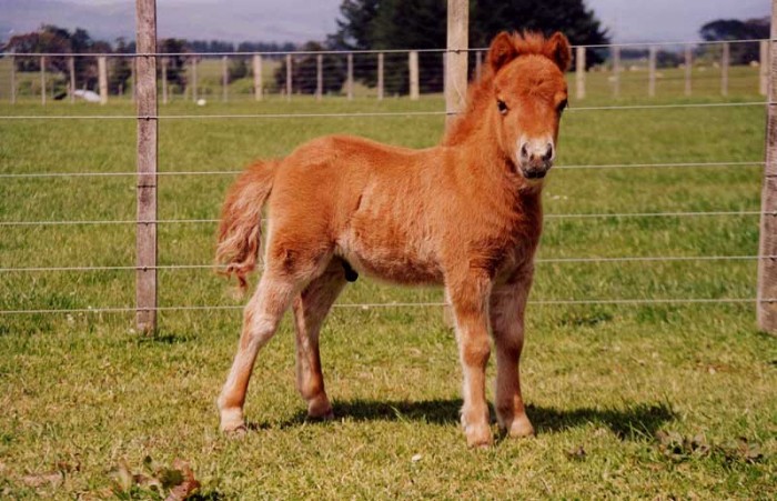 Photo de profil de guguss03