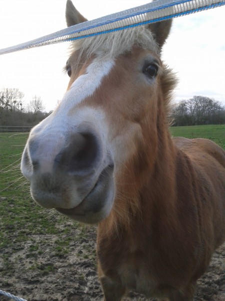 Photo de profil de fanou14