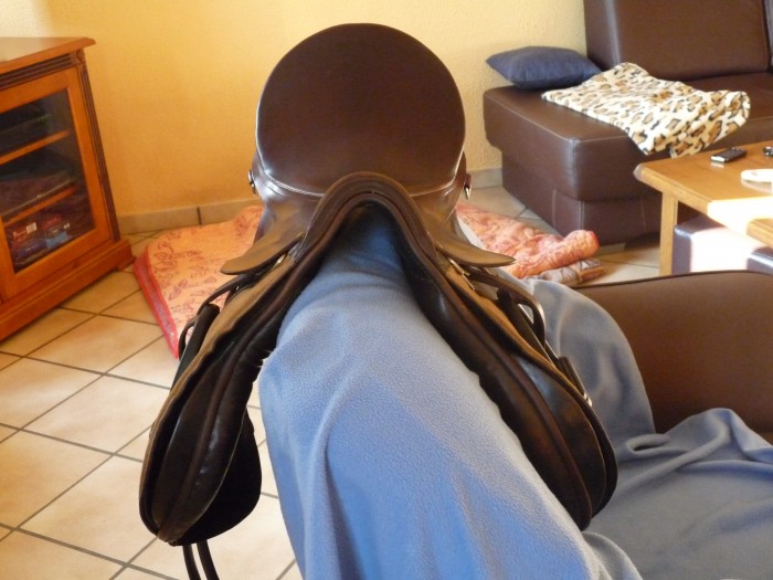 Photo de profil de martines