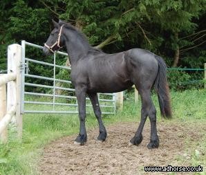 Photo de profil de chamberjanice