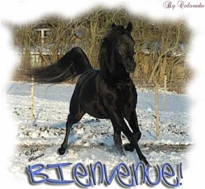 Photo de profil de mimidu64220