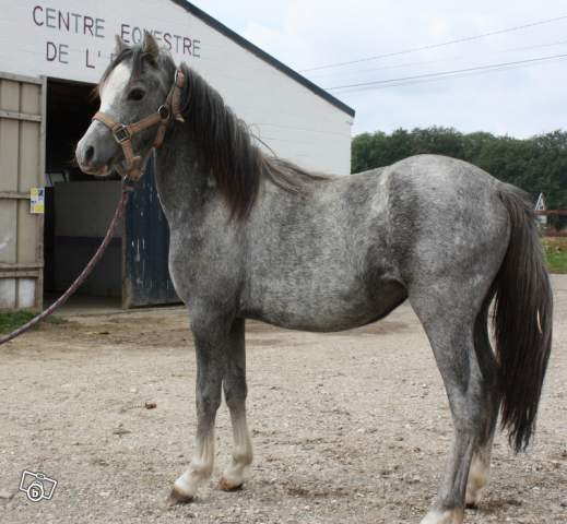 Photo de profil de sia27201