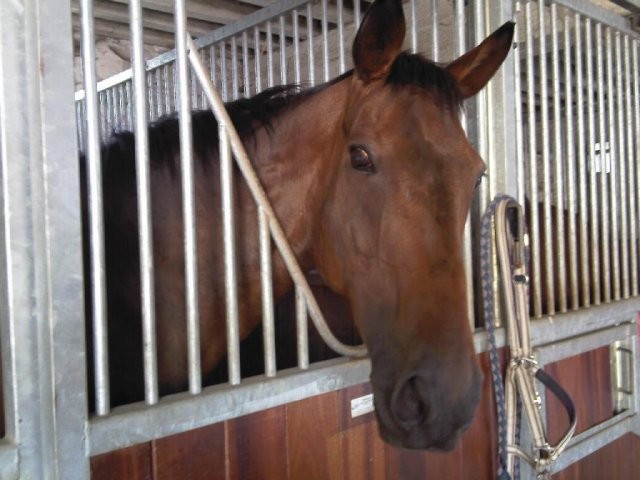 Photo de profil de meli1998
