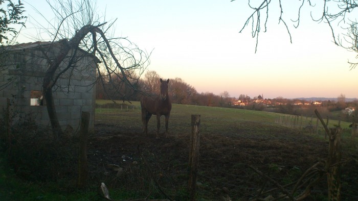 Photo de profil de agn64