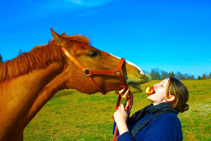 Photo de profil de fizwizzz