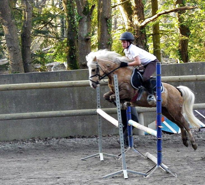 Photo de profil de poney_palomino