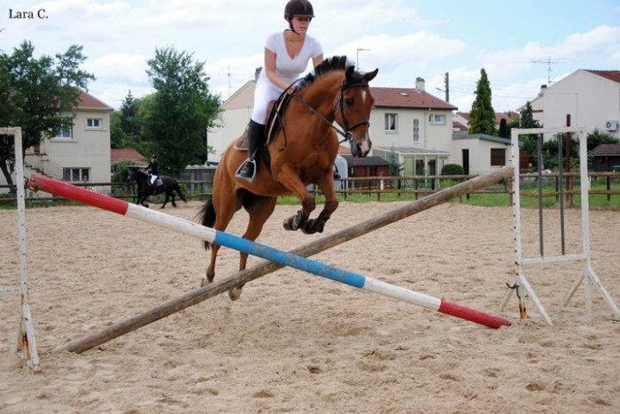 Photo de profil de celine-54000