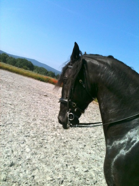 Photo de profil de liviabelle