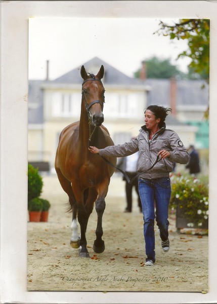 Photo de profil de mommmmss