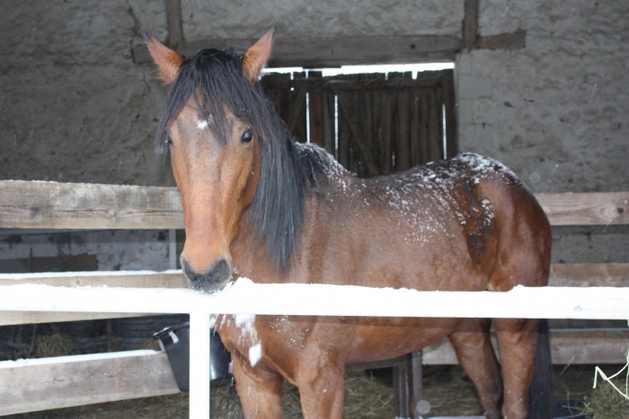Photo de profil de didy1408