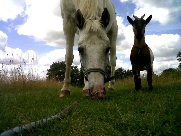 Photo de profil de bronco77