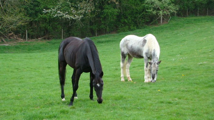 Photo de profil de popla_80