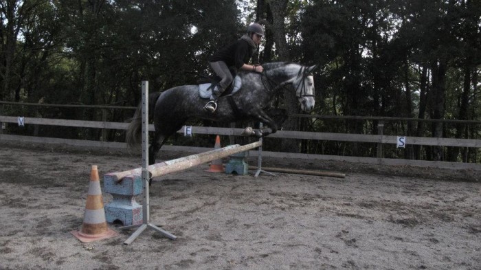 Photo de profil de mooveup
