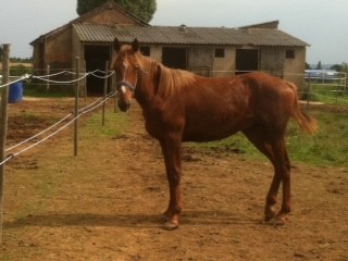Photo de profil de didier85