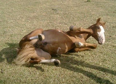 Photo de profil de mezzanine1997