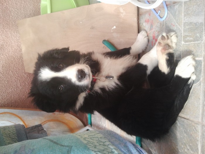 Photo de profil de valli