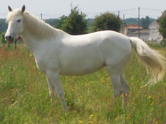 Photo de profil de kumquat