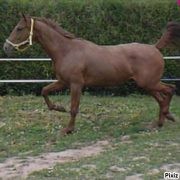 Photo de profil de mimidu60