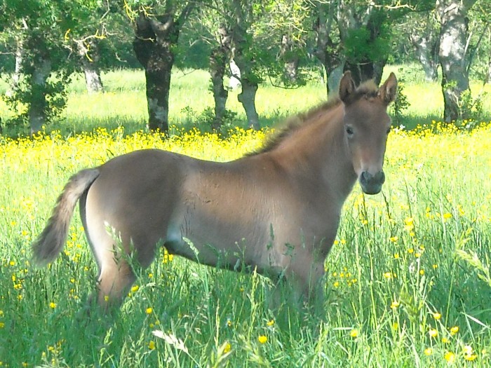 Photo de profil de carolethuillier