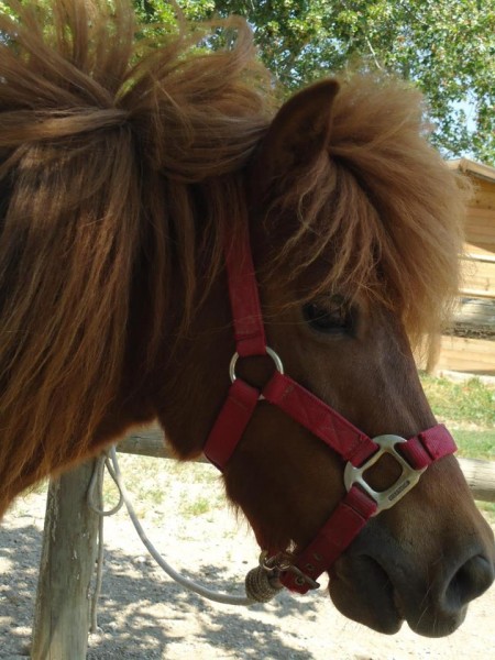 Photo de profil de jeannel