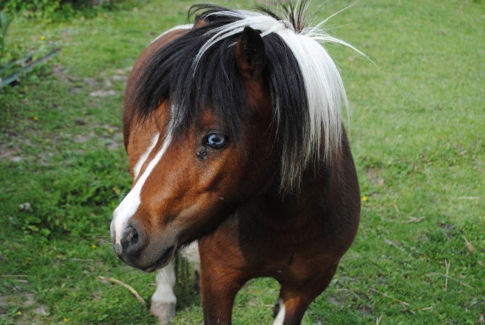 Photo de profil de aurelie68