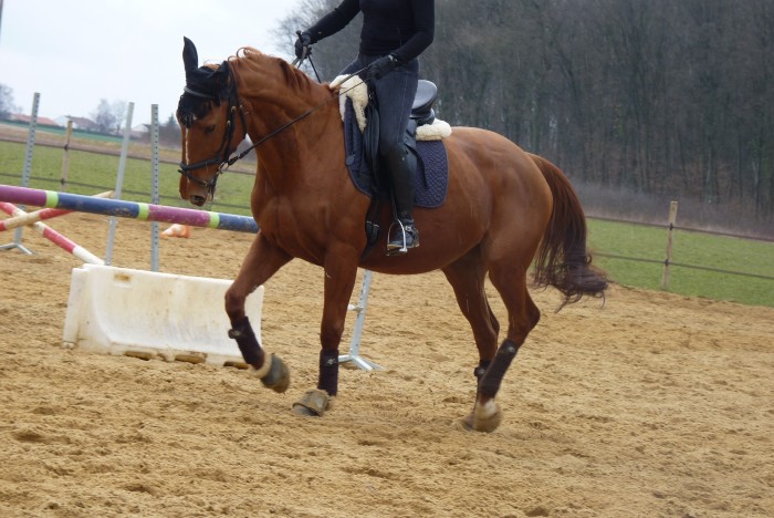 Photo de profil de fabulove