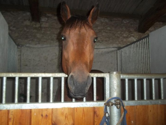 Photo de profil de celinetao