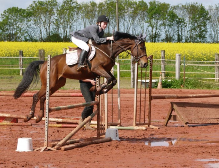 Photo de profil de fauus17