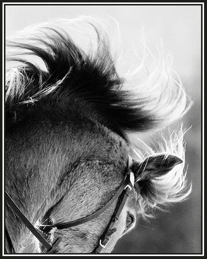 Photo de profil de lecotraph