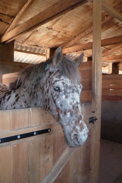 Photo de profil de clacla.m