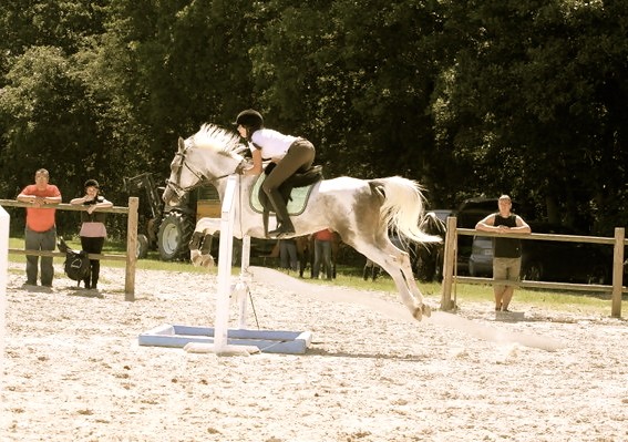 Photo de profil de dreamsoperfect