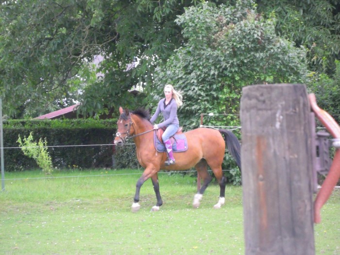 Photo de profil de gazellechapelle