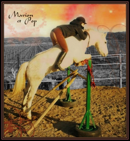 Photo de profil de le_poney11