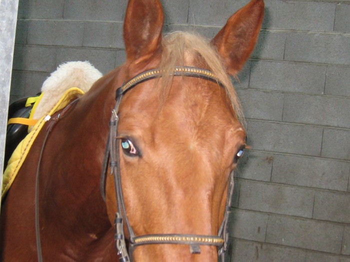 Photo de profil de petitlu68