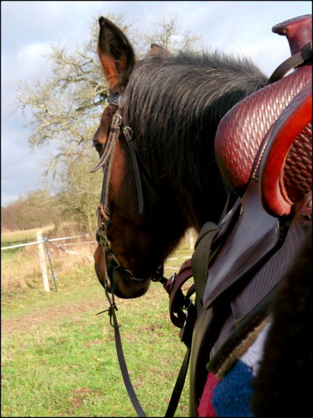 Photo de profil de quino78