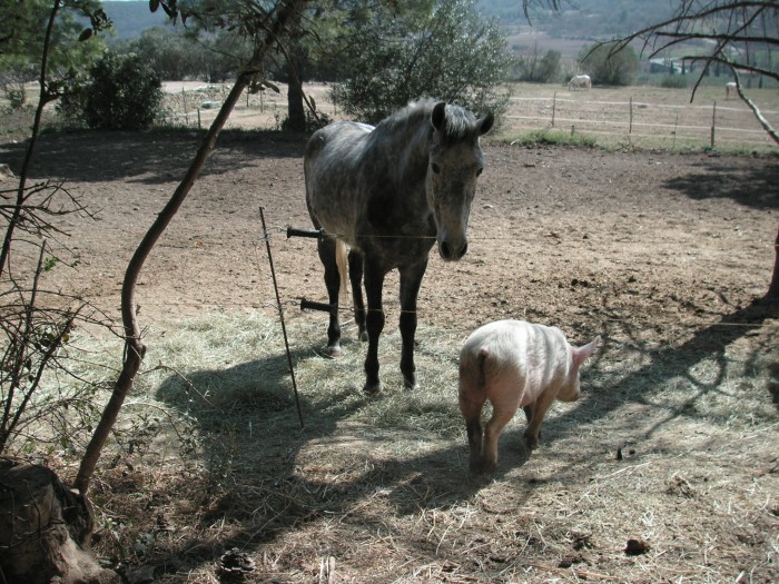 Photo de profil de coureges