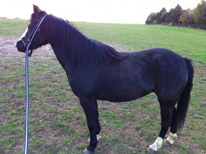 Photo de profil de urtiga