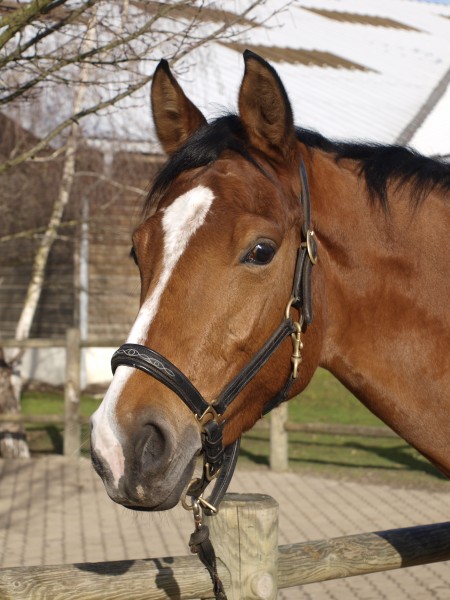 Photo de profil de delphine77