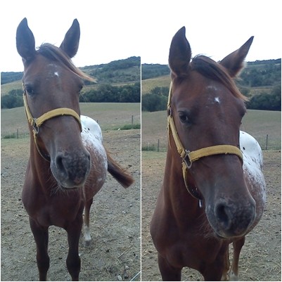 Photo de profil de vegas.aby