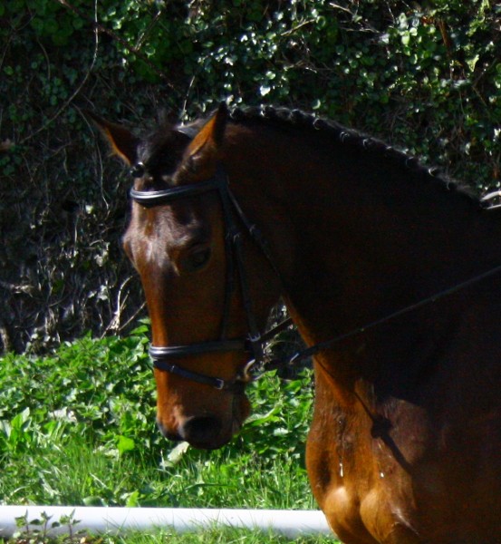 Photo de profil de uxello3