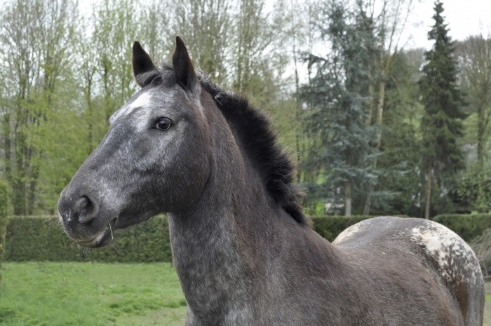 Photo de profil de ptitewalhalla