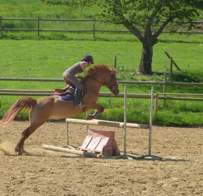 Photo de profil de loloe