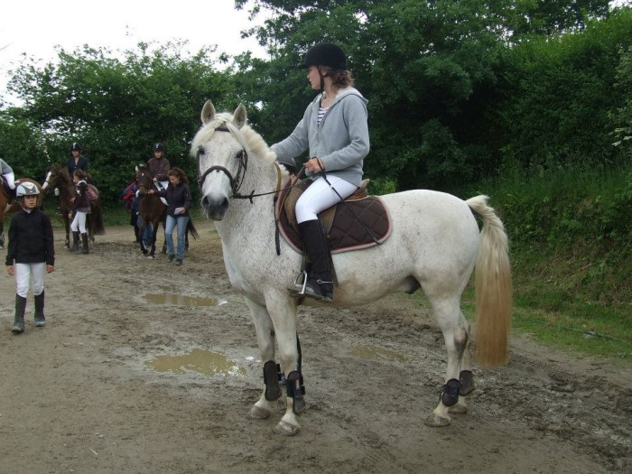 Photo de profil de cavaliere29560