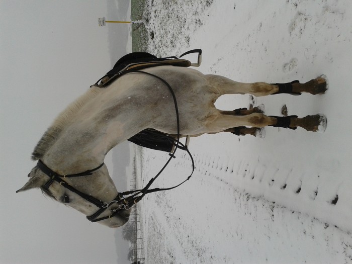 Photo de profil de tootsy