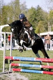 Photo de profil de folle.chevaux