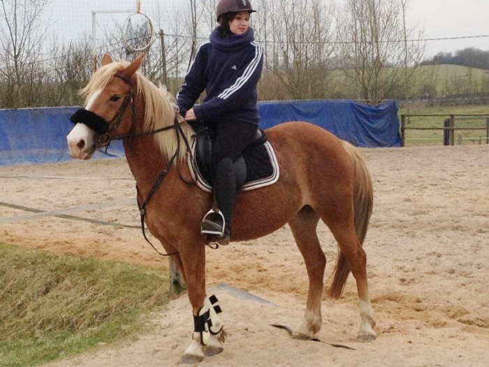 Photo de profil de elien