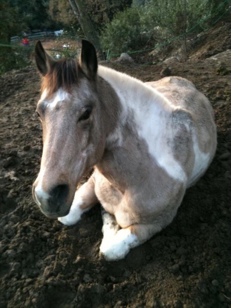 Photo de profil de oce06