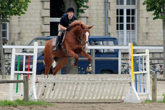 Photo de profil de francois92